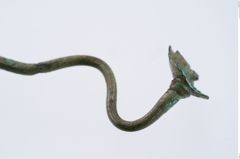 Foto von Bronzeschwanenhalsnadel (NHMW-PRAE-035777)